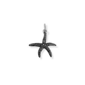 Pingente estrela do mar